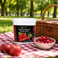 Pabrik Grosir Lotlong Selai Puree Raspberry Merah Warna Cerah Viskositas Stabil 1.36kg 12drum untuk Bar Minuman Komersial
