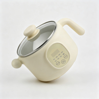 Marmite Électrique en Acier Inoxydable 2L, 8 Modes de Cuisson, Contrôle Tactile, Écran LED, Antiadhésive, Multi-Cuiseur, Couvercle en Verre, Idéale pour Dortoir