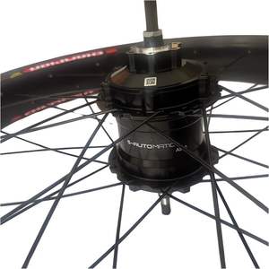 Joyebikes Vente en gros de moyeu de vitesse interne <span class=keywords><strong>BAFANG</strong></span> RG A510, moyeu de vitesse automatique à 5 vitesses, <span class=keywords><strong>moteur</strong></span> de moyeu <span class=keywords><strong>750W</strong></span> 1000W pour vélo électrique - Product Image 3