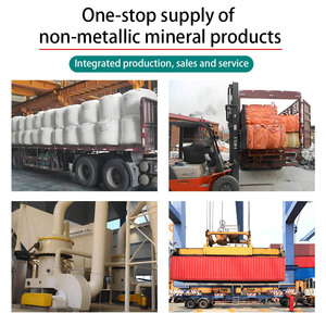 Premium tipo III modello dentale ad alta resistenza veloce impostazione laboratorio di pietra materiale per la fusione di precisione polvere di gesso dentale - Product Image 5