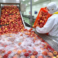 Ligne de production de jus en carton aseptique Tetra Pak entièrement automatique, stérilisation UHT, remplissage et emballage de briques pour boissons lactées