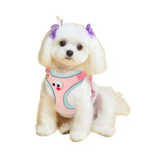 Correa de dibujos animados con ojos grandes para Teddy y Bichon Frise, estilo chaleco, correa para pasear perros pequeños, arnés de pecho para cachorros. - Product Image 5
