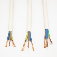 Kabel Rvv 50 Meter Rvv Flexibles PVC-Ummanteltes Kupferkabel 300/500V 2/3/4-adrig