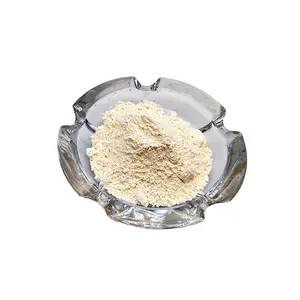 Acheter nanopowder silane verre polissage cerox 1663 poudre d'oxyde de cérium pour un bon prix