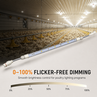 Fabricant de tubes lumineux LED pour volailles 48V DC IP67 Dimmable Plug and Play pour l'élevage de poulets (OEM ODM) pour les poulaillers de poulets de chair et de poules pondeuses