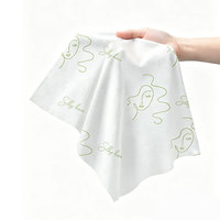 Lingettes capillaires grande taille écologiques biodégradables sans eau, shampoing sec pour les voyages, le camping et les activités de plein air