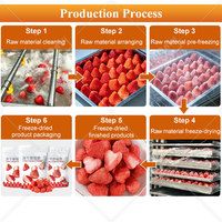 Lyophilisateur industriel automatique MY pour fruits et légumes, sécheur par congélation sous vide de 5 kg pour lait maternel