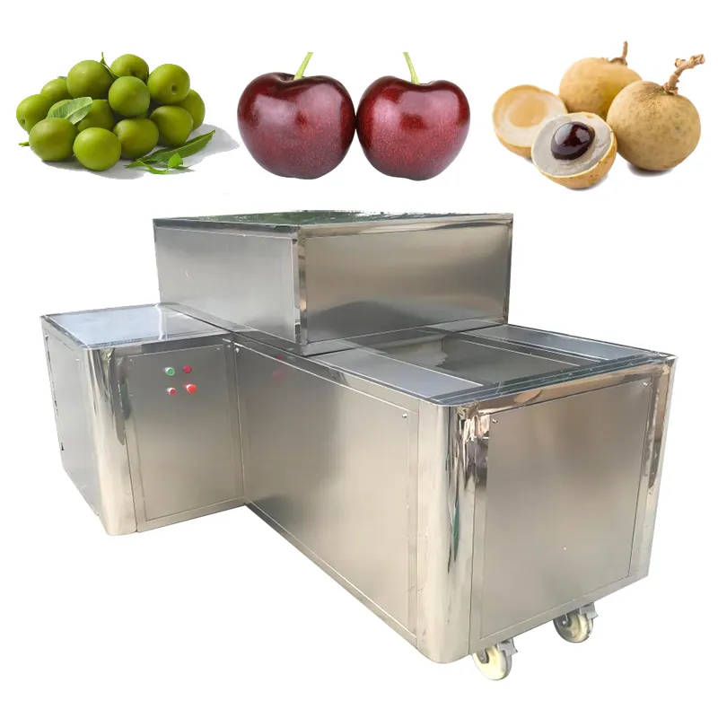 fresh dates seed remover cherry pitter Large automatic apricot kernel meat separation machine