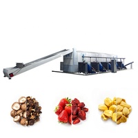 Kwaliteitsborging Tunnel Droger Fruit Droger Set Amandelen/Jujubes/Pinda 'S Cashewdroger Oven Machines