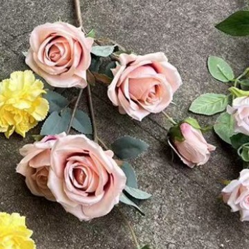6 têtes automne diamant rose automne rose