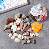 Conchas Marinas Variadas para Jardín de Hadas, Decoraciones de Vida Marina, Manualidades, Recuerdos de Fiesta, Colección