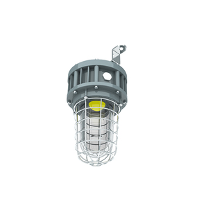 Luminaire anti-explosion en verre trempé de classe 1, division 1, avec protection en acier inoxydable, 20W/30W/40W, homologué UL ETL - Product Image 2