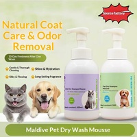 Meilleure Mousse Nettoyante Moderne de Luxe en Gros pour le Dropshipping, Élimination des Odeurs, Sans Rinçage, pour le Toilettage des Chats et Petits Animaux