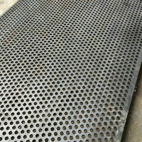 Grille de tamisage perforée en acier inoxydable 304 316 pour machines minières, tamis vibrant, plaque de tamisage, taille personnalisée