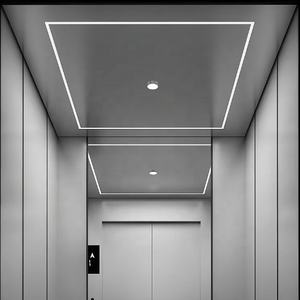 Ascensor Doméstico Compacto de Estilo Moderno y Lujo, Directo de Fábrica, Elevadores Interiores Pequeños para Villas y Propiedades Autoconstruidas - Product Image 4