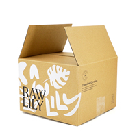 Caja de Envío Impresa de Cartón Kraft Natural Sin Recubrimiento, Económica y al Por Mayor, con Diseño de Plantas Tropicales para Marcas de Cosméticos Orgánicos