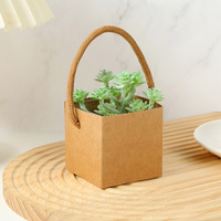 Boîte d'emballage en papier kraft Xiyu pour plantes vertes - Boîte en papier carrée miniature pour plantes succulentes en pot, imperméable et portable