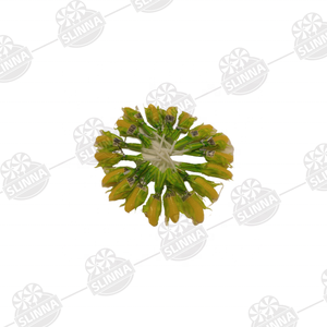 Piruleta de goma masticable con forma de maíz, halal, con envoltorio multicolor, dulce, de gelatina de maíz, caja de caramelos blandos, venta al por mayor - Product Image 4