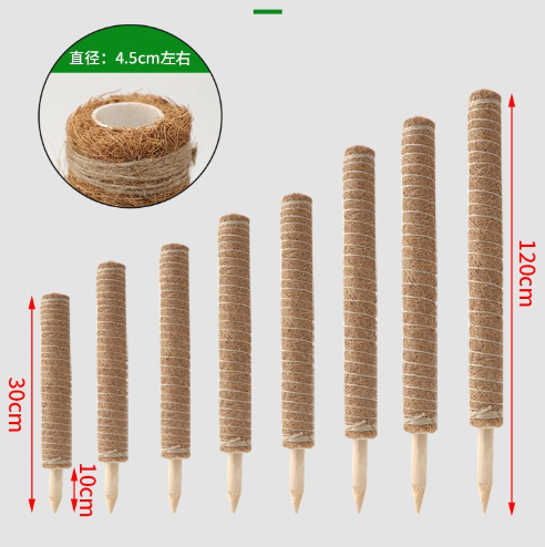 50ซม. (รวมกราวด์ปลั๊ก10ซม.)