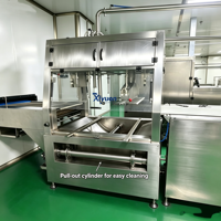 Grande machine à enrober les glaces congelées au chocolat, pour la fabrication de mélange de morceaux de noix, destinée aux usines de transformation d'aliments et de boissons froides