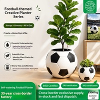 Pot de fleurs créatif en plastique en forme de ballon de football, auto-arrosant, design respirant, indicateur de niveau d'eau visible pour les amateurs de plantes paresseux