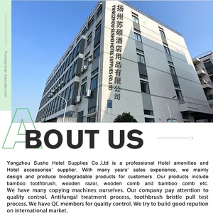 OEM 맞춤형 및 개별 포장 생분해성 천연 대나무 가정용 어린이 칫솔 - Product Image 5