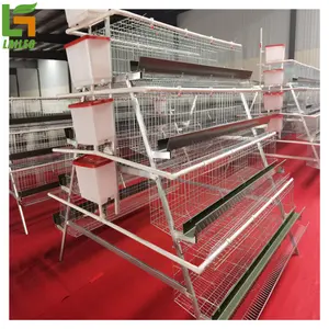 Automatic poultry farm equipment layer cage egg chicken layer