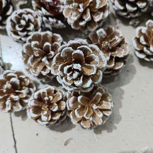 Pignons de pin naturels à suspendre pour Noël, directement de l'usine, ornements en forme de cônes, longue durée, décoration de mariage DIY, en carton - Product Image 4