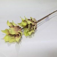 Vente en gros de 2 têtes de fleurs artificielles en mousse PE de 97 cm, fausses fleurs de Protea séchées vintage, couleur personnalisée pour les arrangements floraux de mariage, d'hôtel et de maison