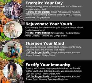 GMP Halal 10-in-1 <span class=keywords><strong>Shilajit</strong></span> dan Ashwagandha Gummies Suplemen Herbal Murni Himalaya untuk Dewasa dengan Dukungan Tidur - Product Image 3