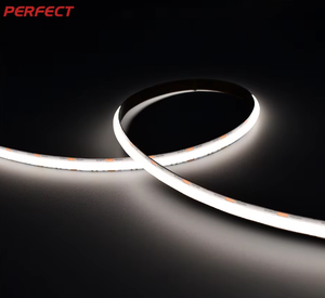 Bande LED CCT réglable par Wi-Fi PERFECT PSB322F-S-CCT 10 mm 24 V, 2700 K-6000 K, transition de gradation fluide, paysage, Ra90, IP20 - Product Image 1