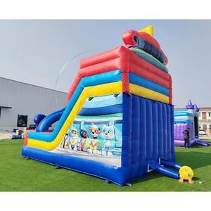 Château Gonflable Combo de Dessins Animés avec Toboggan Humide/Sec pour Parc d'Attractions - Product Image 2