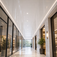 Plaque de plafond PVC WYRAX pour couloir commercial, 300x10mm, blanc brillant, légère, lavable, design creux