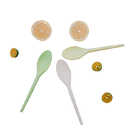 Meilleures ventes : Ensemble de couverts jetables en CPLA de 6,5 pouces (couteau, fourchette, cuillère) – Vente en gros pour importateurs