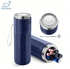 Vaso Eléctrico Refrigerador de Insulina con Pantalla de Temperatura USB, Portátil para Medicamentos Diabéticos - Product Image 1