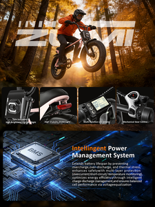 Bicicleta Eléctrica Vintage Cruiser de 48V 250W 750W con Neumáticos Gruesos de 20 Pulgadas, Legal para Circular en la Calle, Motocicleta Eléctrica para Adultos, OEM, Directo de Fábrica, Dropshipping - Product Image 1