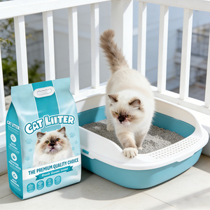 Arena para Gatos Ecológica de Bentonita, Precio de Fábrica, Aglutinación Rápida, Sin Polvo, Altamente Absorbente, 10L - Product Image 1