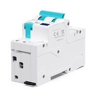 API ZIGBEE 16A Disjoncteur miniature RCBO Type A B 30 Ampères 10kA 230V Compteur d'électricité intelligent pour usage domestique Moniteur d'énergie
