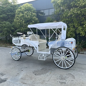 2026 Luxe Voiture de Mariage à Quatre Roues, Voiture de Tourisme, Voiture de Tourisme de Noël, Calèche Électrique à Chevaux à Vendre - Product Image 3