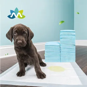 Dễ Thương Puppy Potty Dog Đào Tạo Pad Dùng Một Lần Pet Pads Cho Dog Đào Tạo