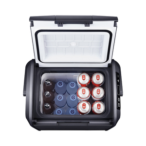 Nevera Portátil CoolRide CR20 de 20L, Mini Refrigerador para Auto de Una Sola Zona, Enfriamiento de 12V, Refrigerador Compacto - Product Image 6