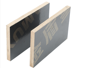 Compensato rivestito in legno di legno di eucalipto o di pino, melamina, pellicola di colla fenolica - Product Image 4