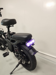 Nouveau <span class=keywords><strong>vélo</strong></span> <span class=keywords><strong>électrique</strong></span> pliable tout-terrain haute vitesse 800W avec pneu de <span class=keywords><strong>16</strong></span> <span class=keywords><strong>pouces</strong></span> super antidérapant pour la neige, double entraînement, véhicule de montagne - Product Image 6