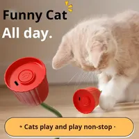 Jouet interactif électrique rechargeable et écologique pour chat, avec corde en silicone et queue automatique qui bouge, pour l'exercice des chatons en intérieur