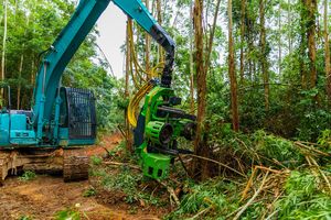 Machinerie forestière pour la coupe des arbres d'eucalyptus, la récolte de grumes, machine forestière pour la coupe du bois, équipement d'exploitation forestière, tête de récolte - Product Image 4