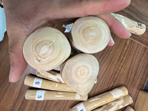 Bâton à mâcher pour chien en bois de café du Vietnam, de qualité supérieure, naturel et durable, jouet pour chien pour le nettoyage des dents, export OEM ODM, taille L - Product Image 6