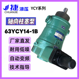 Pompe à pistons axiaux série Ycy14 1b, pompe hydraulique variable haute pression 63Ycy14 1b pour application de surpression - Product Image 4