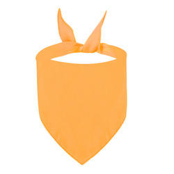 تخفيضات هائلة هدايا ترويجية بشعار مخصص مستلزمات حيوانات أليفة قطنية بطبقتين منقوشة منقوشة مثلث وشاح للكلاب - Product Image 3