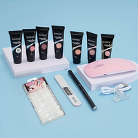 Kit d'extension d'ongles professionnel Poly Gel OEM sous marque privée, ensemble de démarrage complet avec lampe UV LED, capsules et outils pour la vente en gros