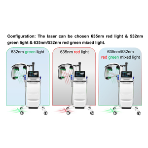 Máquina de Belleza Vertical para el Cuidado del Cuerpo y la Cara, Modelo SK-DLS-02 de ABS y Acero Inoxidable - Product Image 6